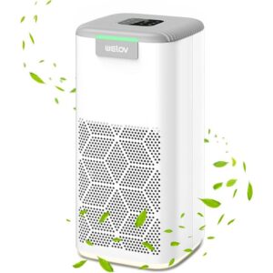 WElov Air Purifier with True HEPA P200s