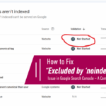 Excluded by ‘noindex’ Tag